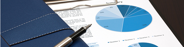 reports page image